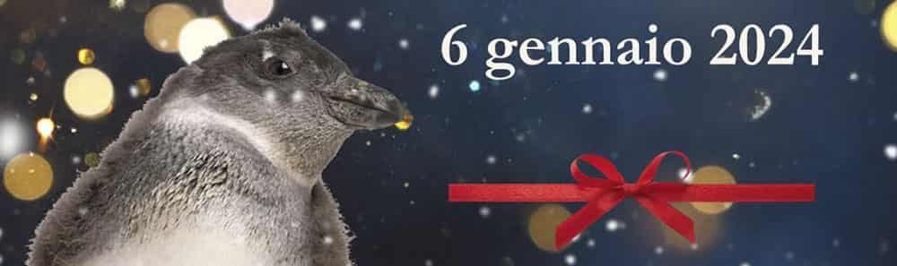 Cattolica – #Benvenutopinguino 2024