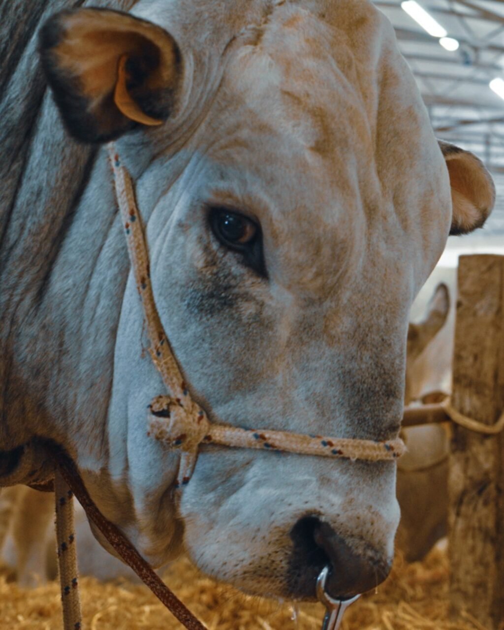 Instagram post from lavalledellevacanze. This post is in position 1.