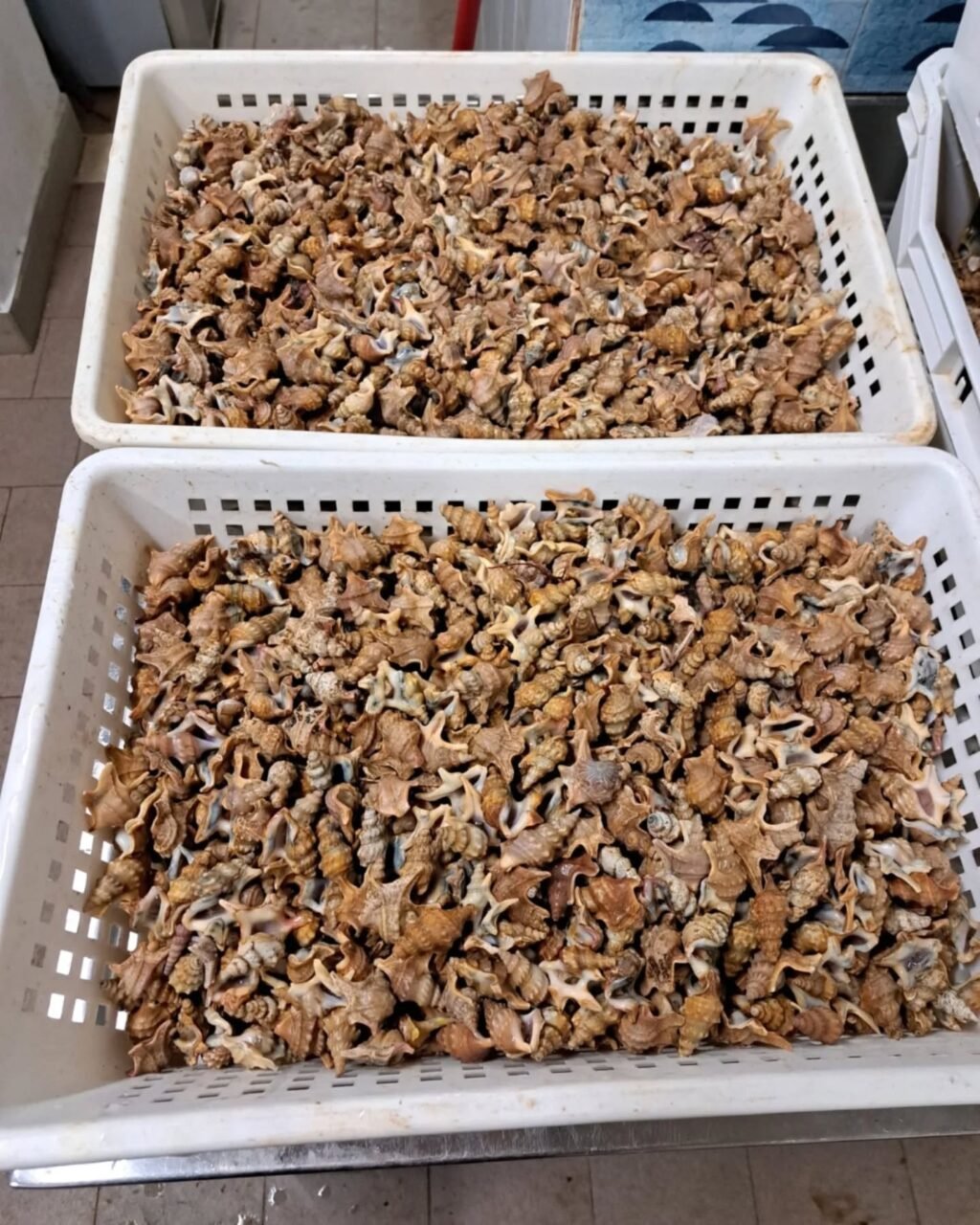 Instagram post from lavalledellevacanze. This post is in position 1.