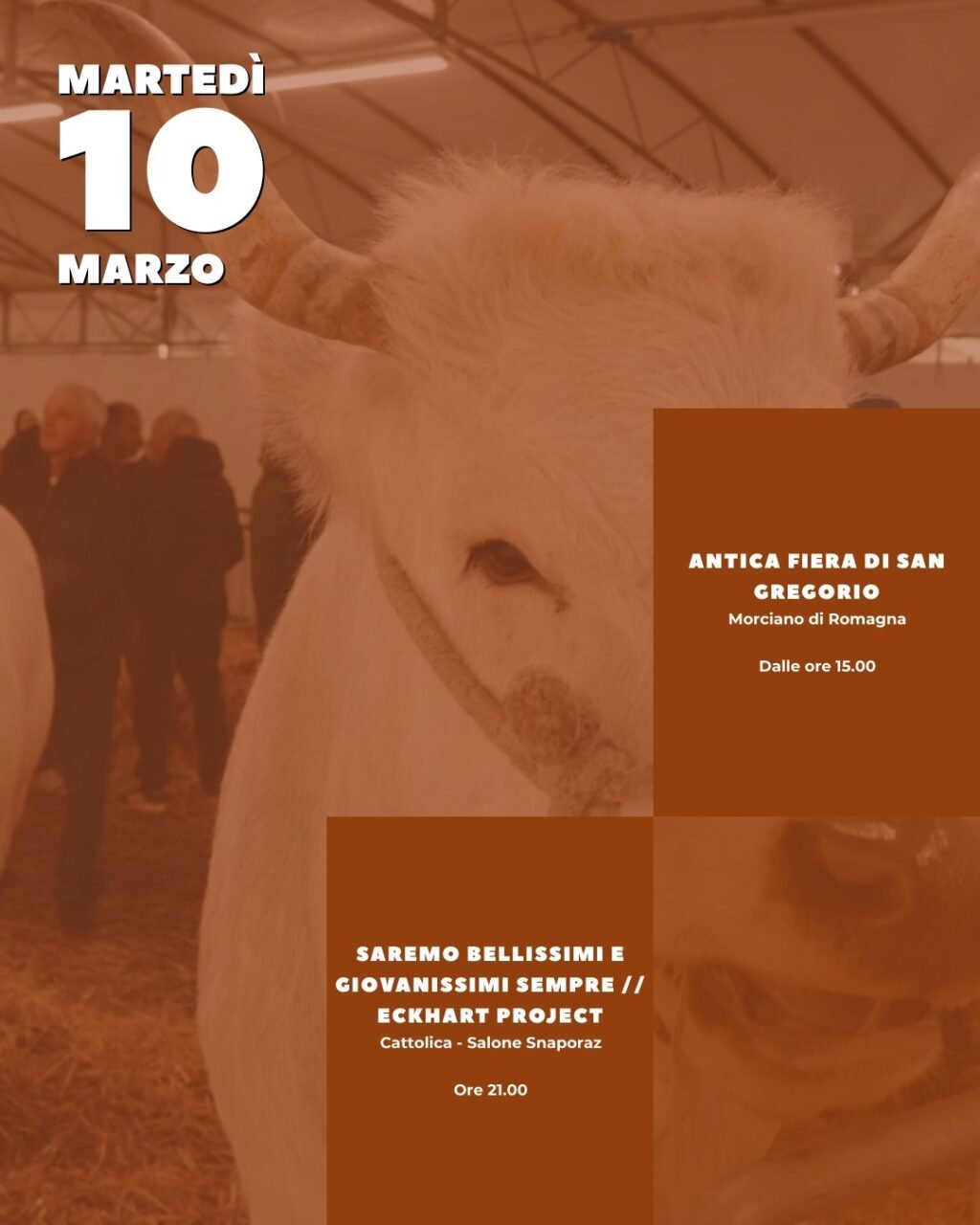 Instagram post from lavalledellevacanze. This post is in position 2.