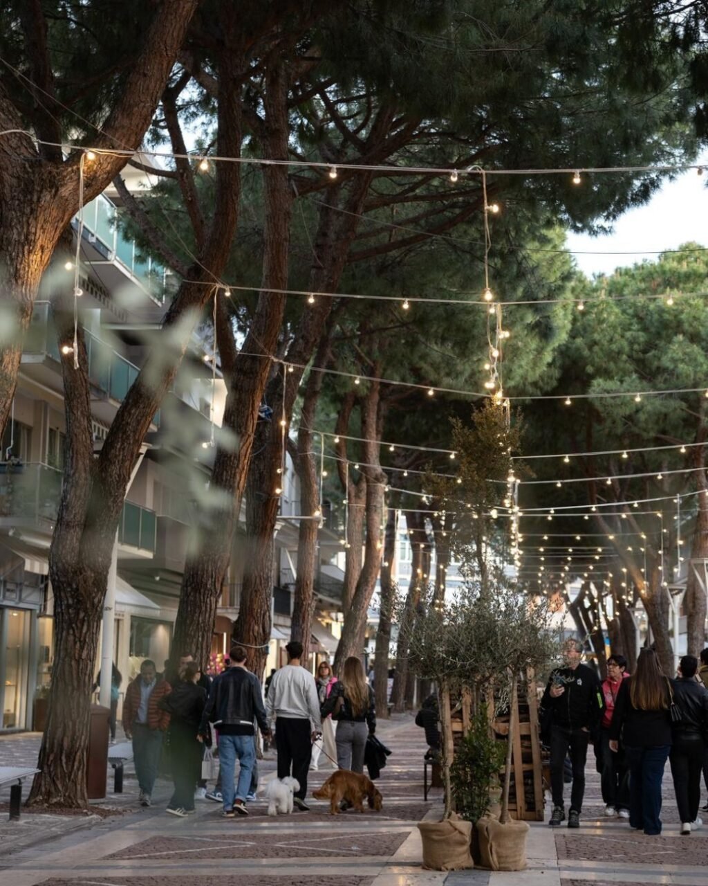 Instagram post from lavalledellevacanze. This post is in position 2.