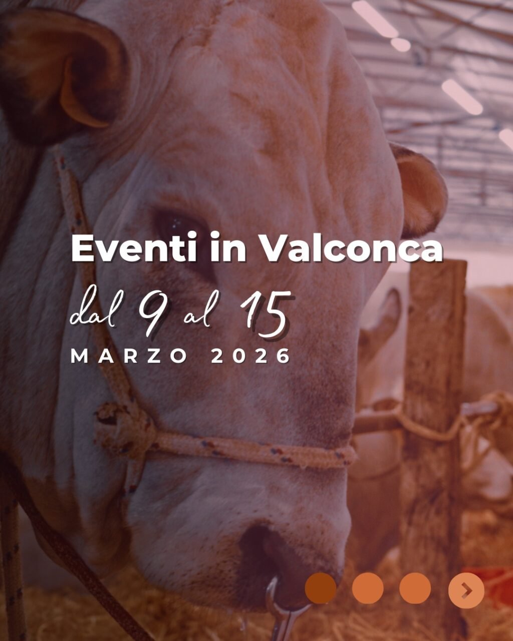 Instagram post from lavalledellevacanze. This post is in position 0.