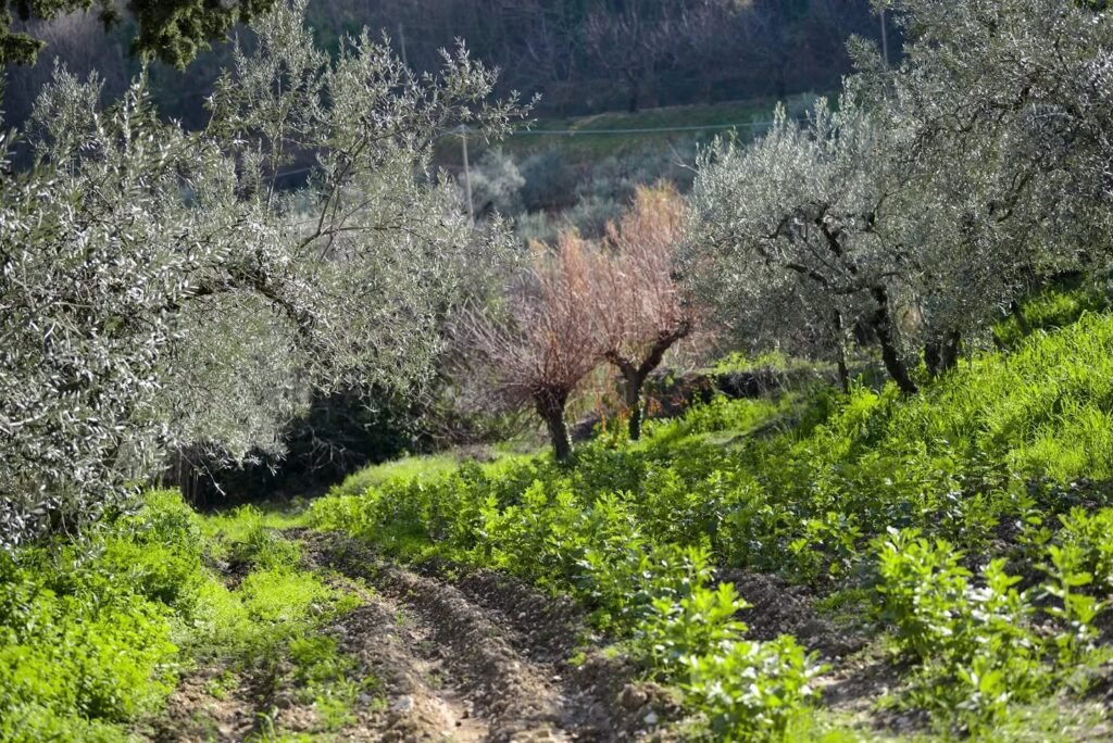 Instagram post from lavalledellevacanze. This post is in position 3.