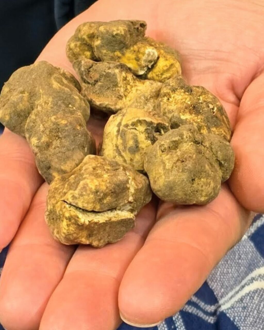 Instagram post from lavalledellevacanze. This post is in position 10.