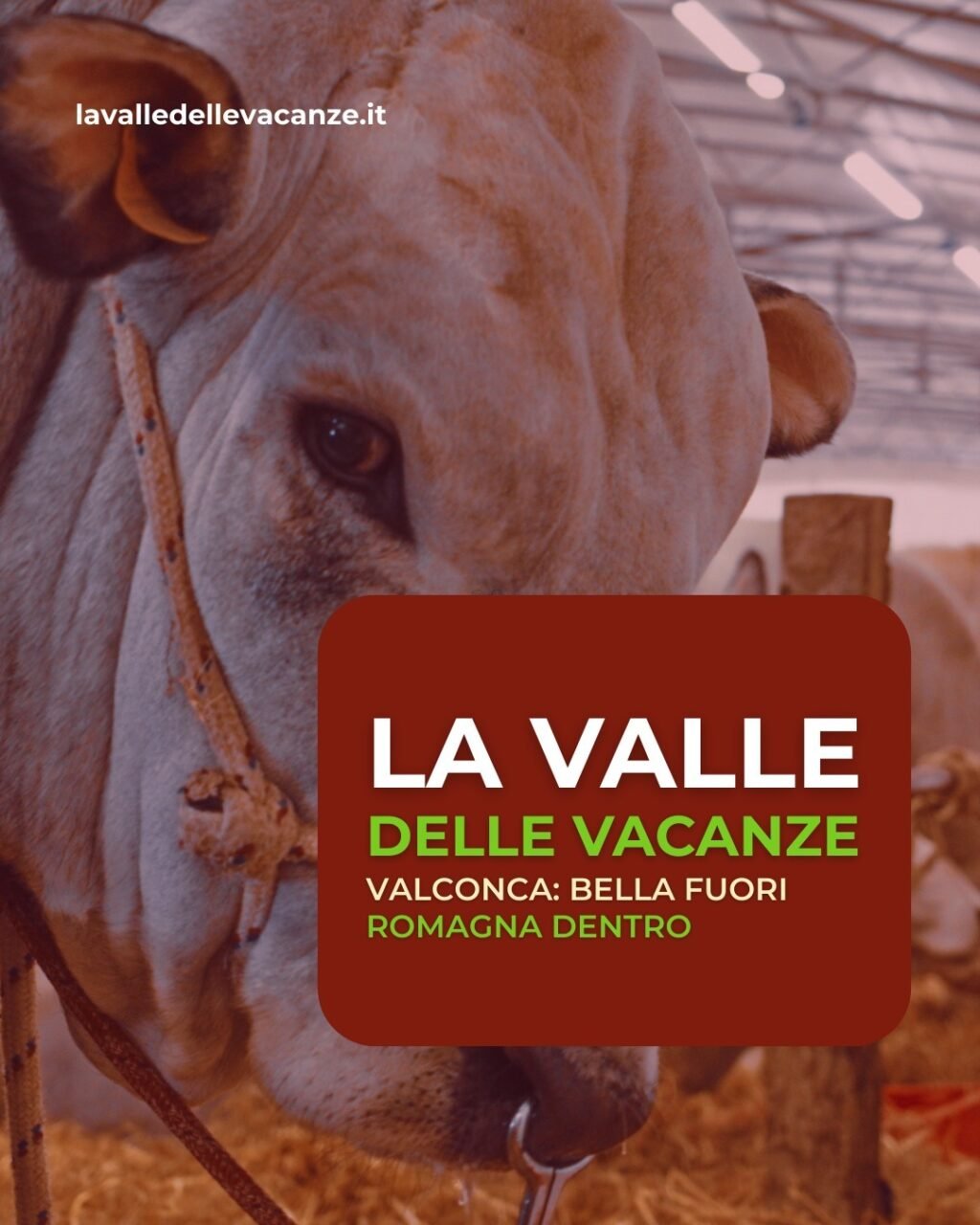 Instagram post from lavalledellevacanze. This post is in position 8.