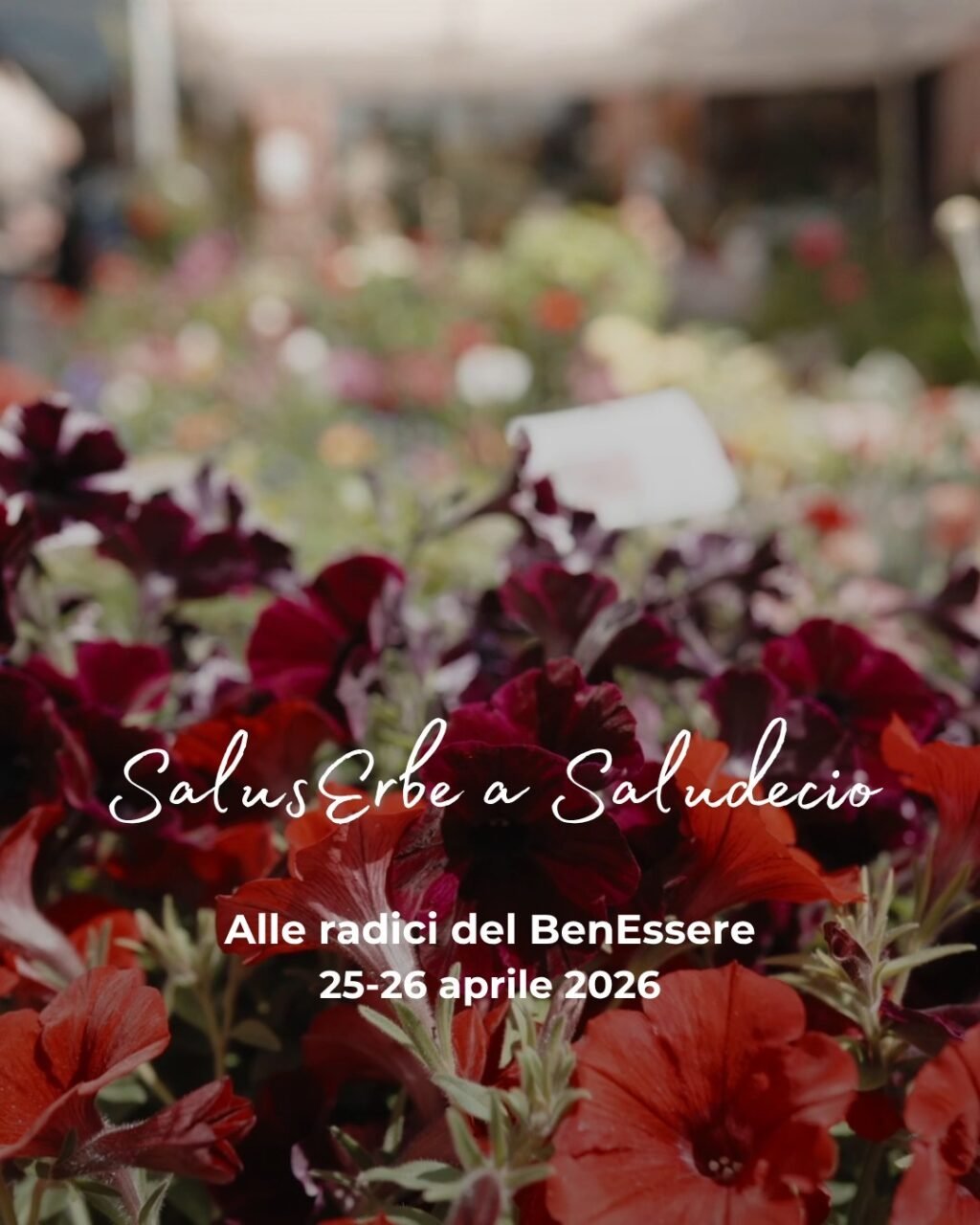 Instagram post from lavalledellevacanze. This post is in position 1.