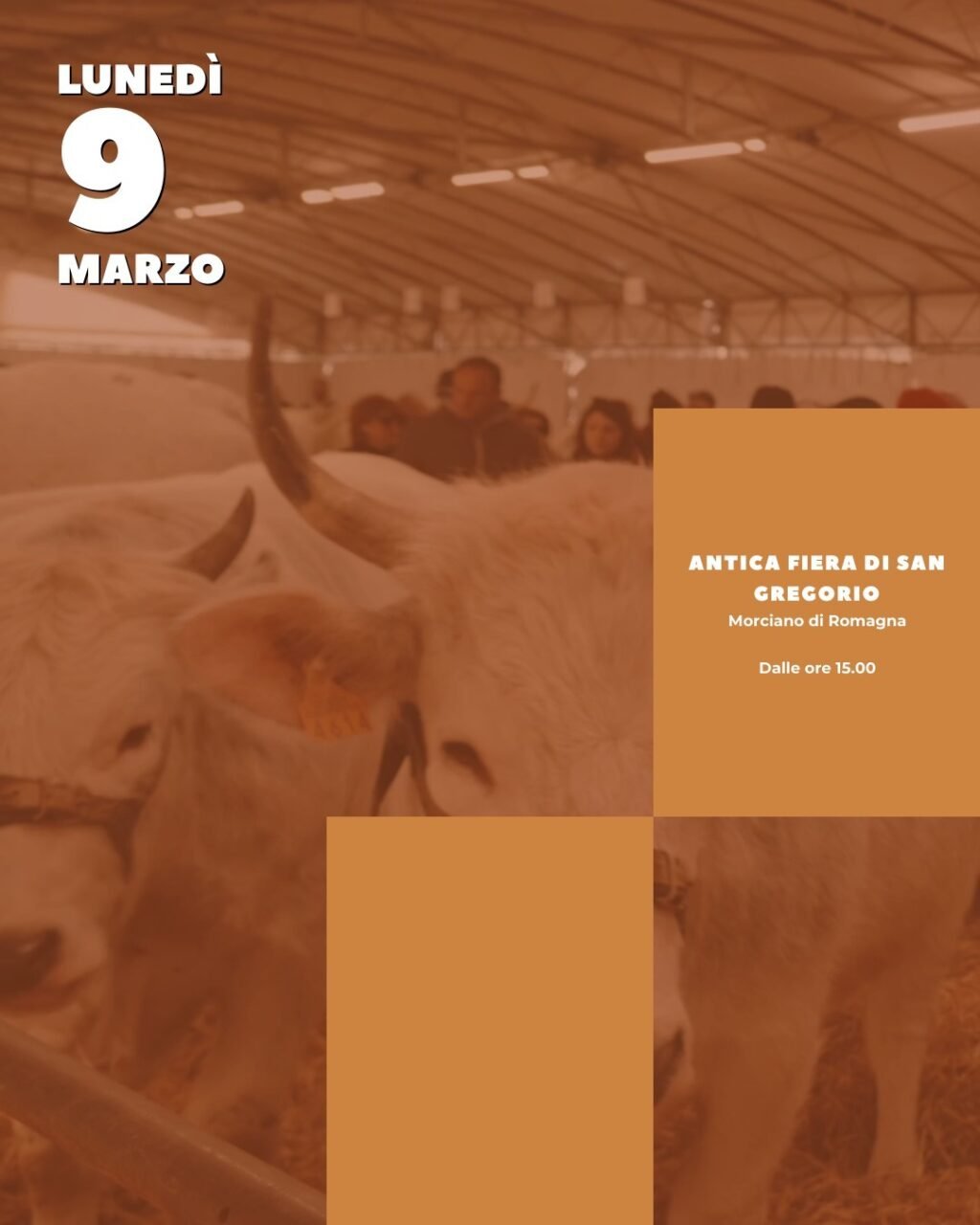 Instagram post from lavalledellevacanze. This post is in position 1.