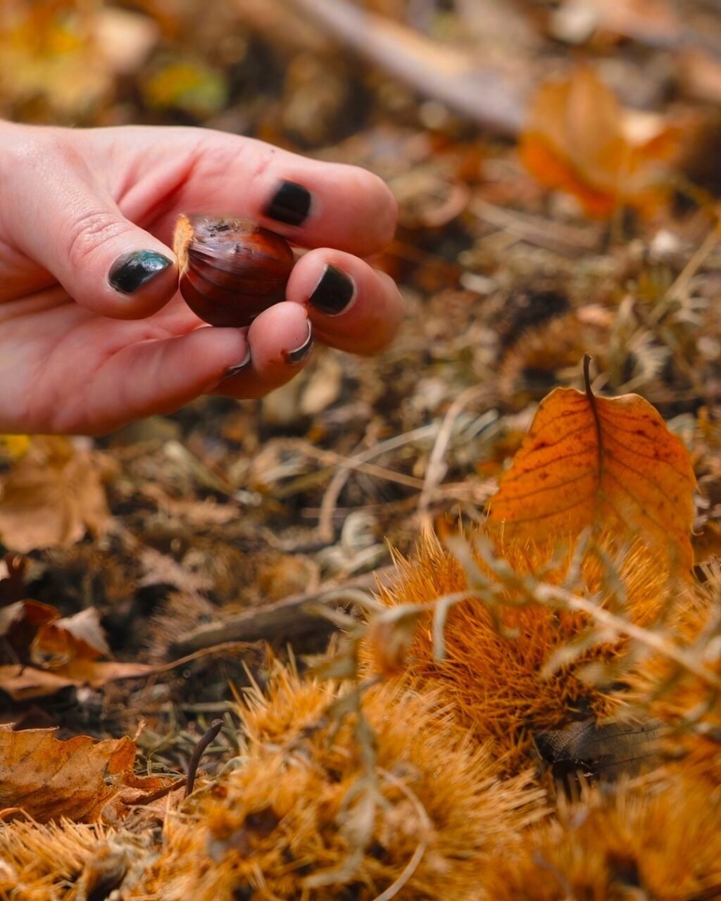 Instagram post from lavalledellevacanze. This post is in position 0.