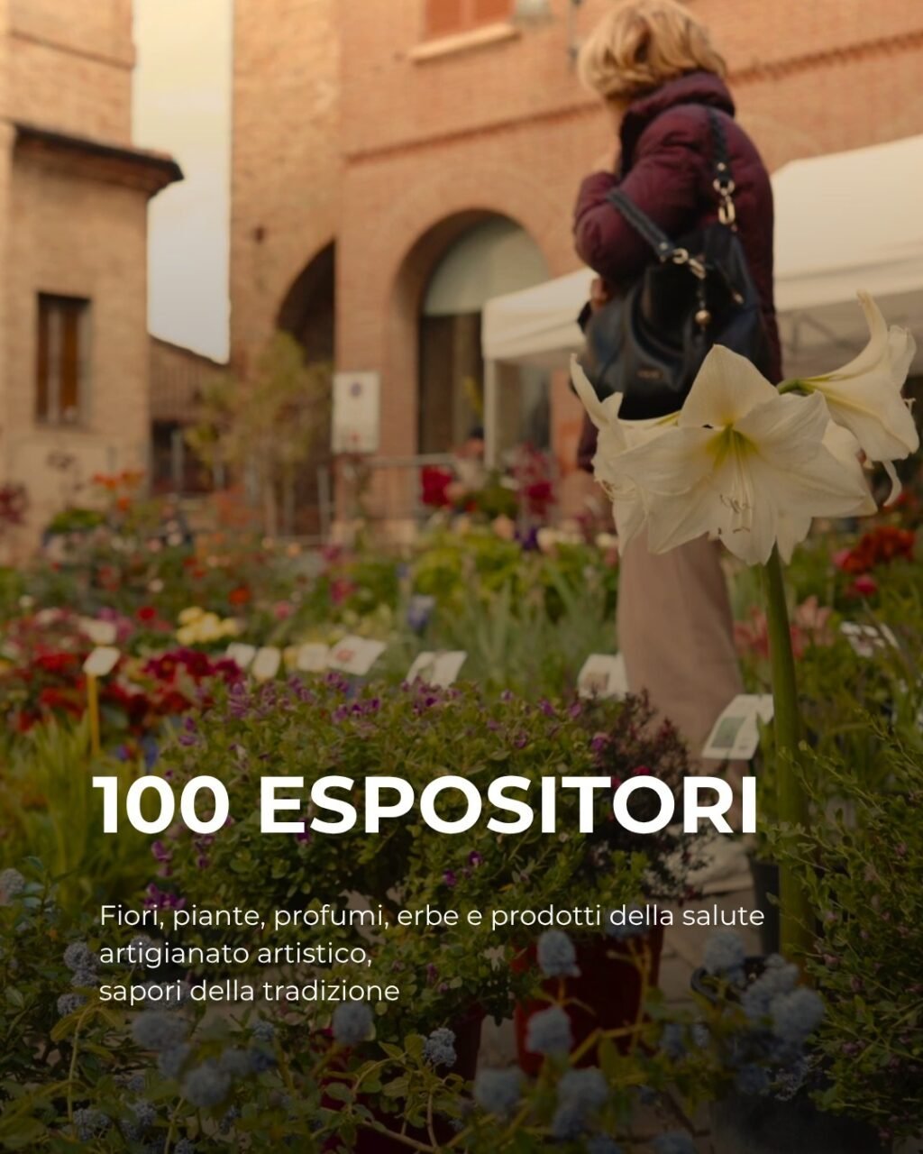 Instagram post from lavalledellevacanze. This post is in position 1.