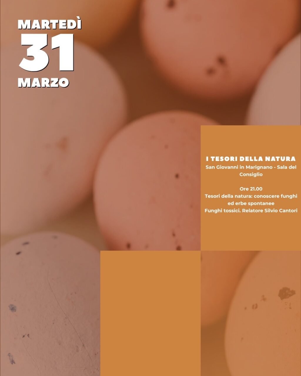 Instagram post from lavalledellevacanze. This post is in position 1.